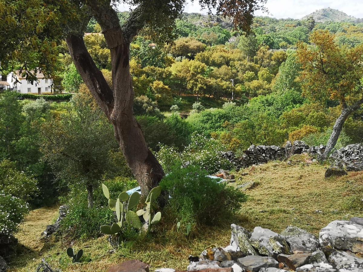 Monte Das Cascatas Marvao  Bagian luar foto