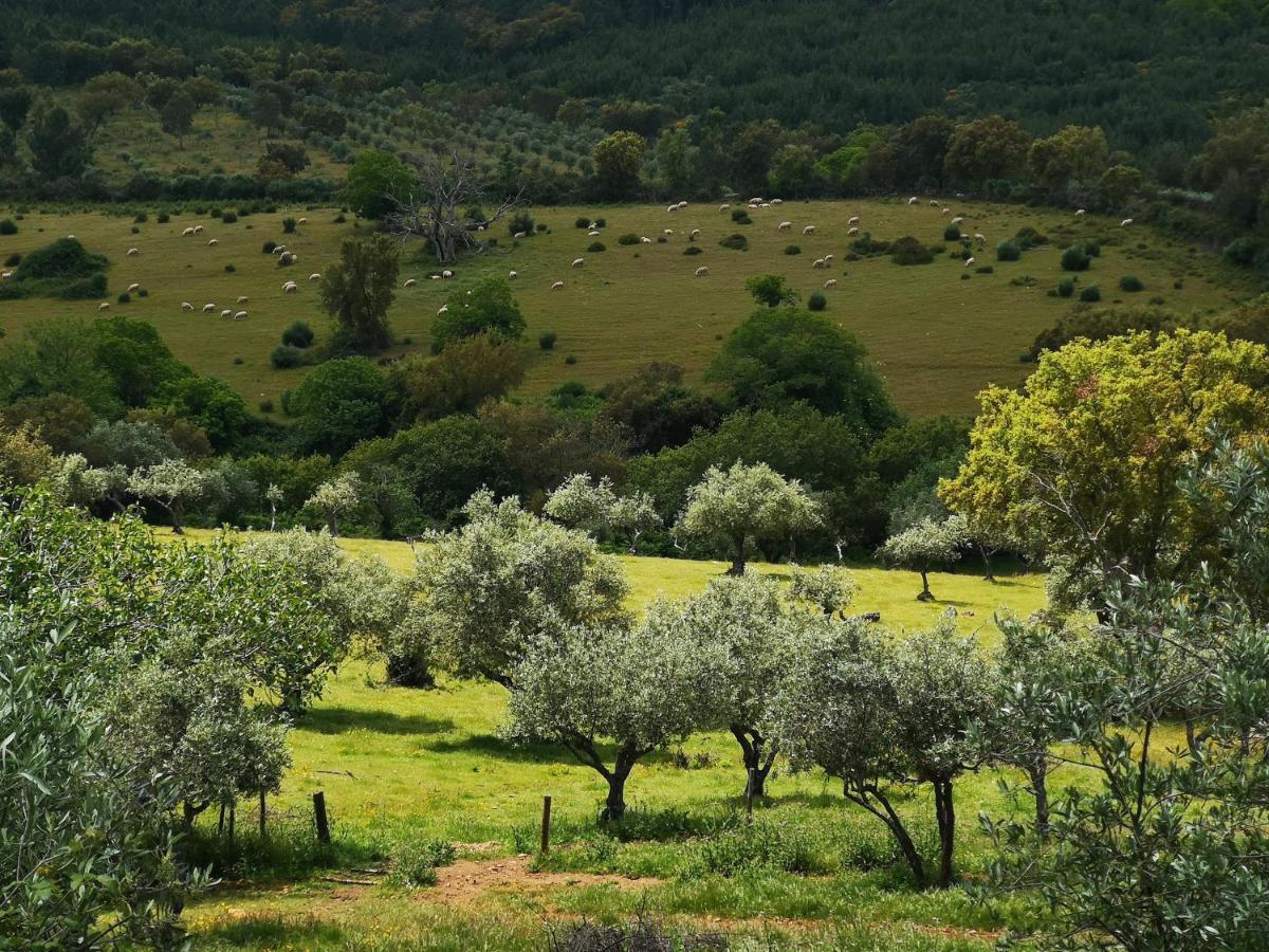 Monte Das Cascatas Marvao  Bagian luar foto