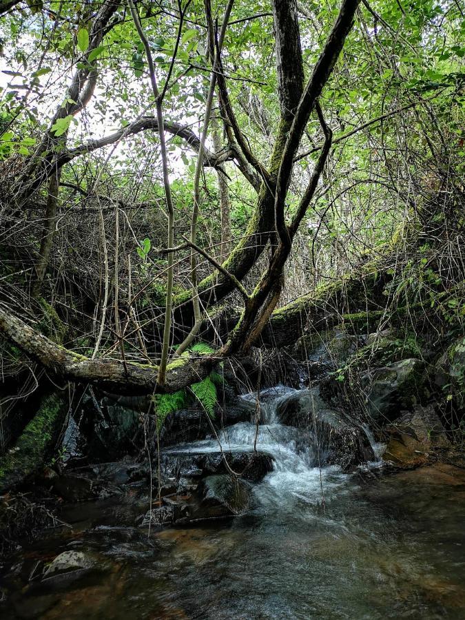 Monte Das Cascatas Marvao  Bagian luar foto